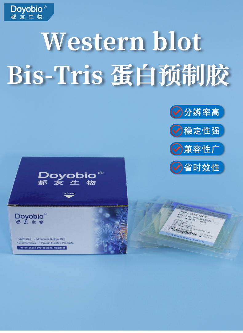 western blot 蛋白预制胶 BisTris MOPS体系梯度胶 可SDS/Native 塑料板型_上海都友生物科技有限公司