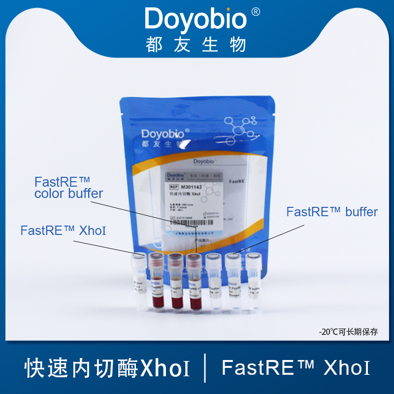 快速内切酶 XhoI,FastRE™ XhoI,500T_都友生物
