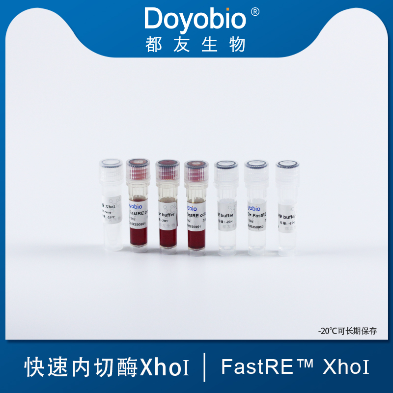 快速内切酶 XhoI,FastRE™ XhoI,500T_都友生物
